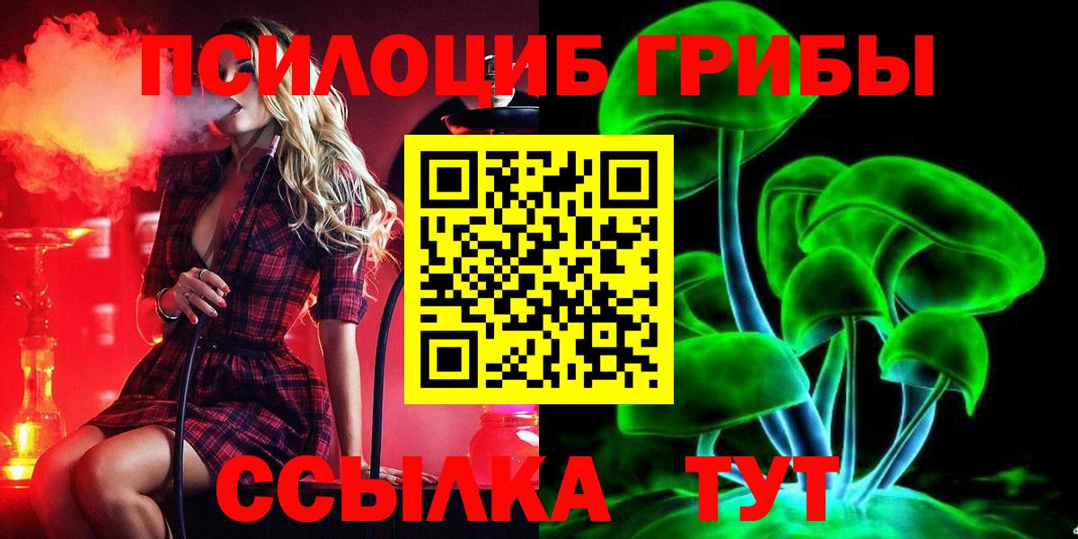 Псилоцибиновые грибы ЛСД Азнакаево